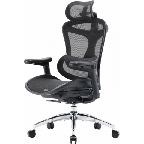 Крісло офісне Sihoo DORO C300L Mesh Black (DORO-C300L-A3-101) Купити в Україні