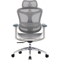 Крісло офісне Sihoo DORO C300L Mesh White (DORO-C300L-A3-102)