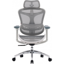 Крісло офісне Sihoo DORO C300L Mesh White (DORO-C300L-A3-102)