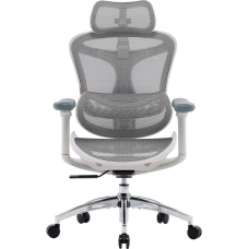 Крісло офісне Sihoo DORO C300L Mesh White (DORO-C300L-A3-102)