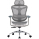 Крісло офісне Sihoo DORO C300L Mesh White (DORO-C300L-A3-102) Купити в Україні