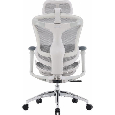Крісло офісне Sihoo DORO C300L Mesh White (DORO-C300L-A3-102) Купити в Україні