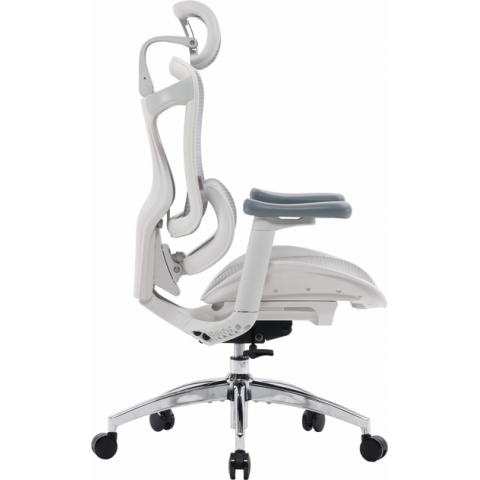 Крісло офісне Sihoo DORO C300L Mesh White (DORO-C300L-A3-102) Купити в Україні