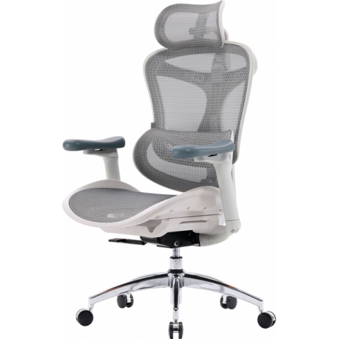 Крісло офісне Sihoo DORO C300L Mesh White (DORO-C300L-A3-102) Купити в Україні