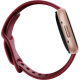 Смарт-годинник Fitbit Versa 4 Beet Juice/Copper Rose (FB523RGRD) Купити в Україні