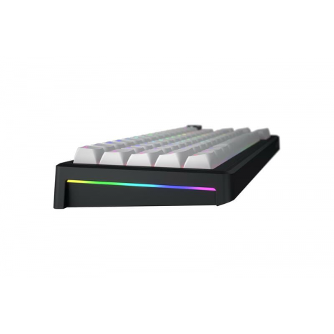 Клавіатура магнітна HATOR Skyfall 65 MAG ULTRA 8K (HTK1860UA) black-white Купити в Україні