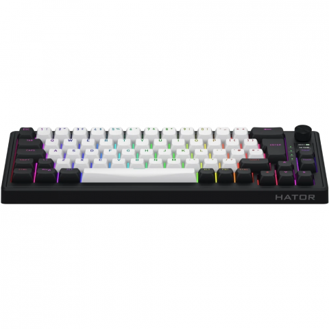 Клавіатура магнітна HATOR Skyfall 65 MAG ULTIMA 8K wireless (HTK3860EU) black-white Купити в Україні