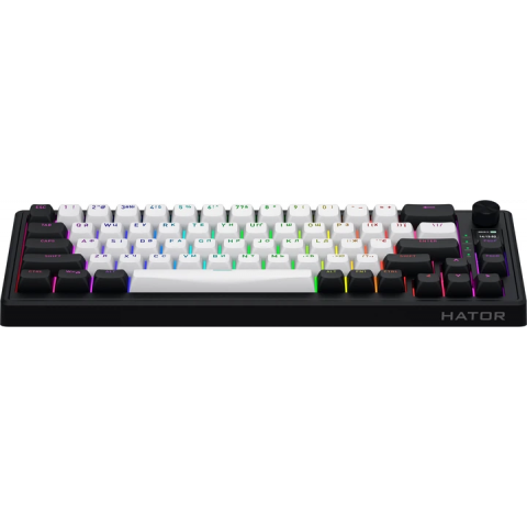Клавіатура магнітна HATOR Skyfall 65 MAG ULTIMA 8K wireless (HTK3860UA) black-white Купити в Україні
