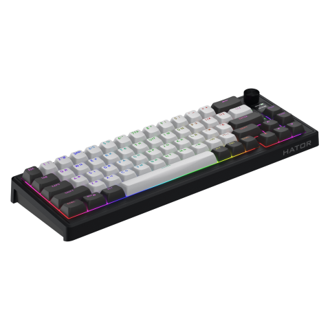 Клавіатура механічна HATOR Skyfall 65 PRO wireless (HTK4160UA) grey-black, silent switches Купити в Україні