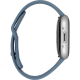 Смарт-годинник Fitbit Versa 4 Waterfall Blue / Platinum (FB523SRAG) Купити в Україні