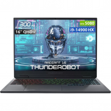 Ноутбук ThundeRobot R16 (1NLYA000055) Gray
