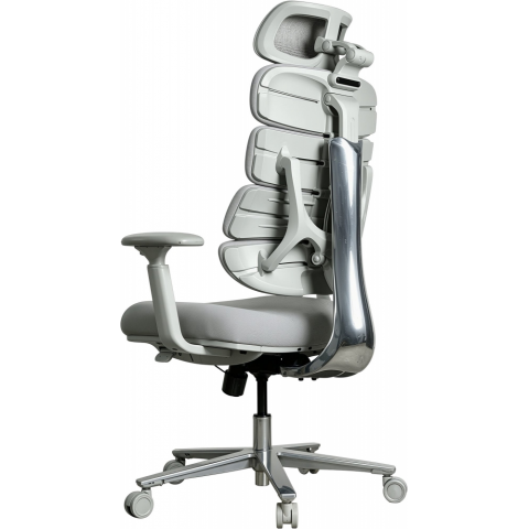 Крісло комп’ютерне офісне ергономічне OfficePro FlexCore OC120G Купити в Україні