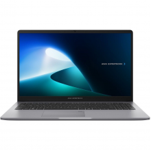 Ноутбук ASUS ExpertBook P1503CVA (P1503CVA-S71290)