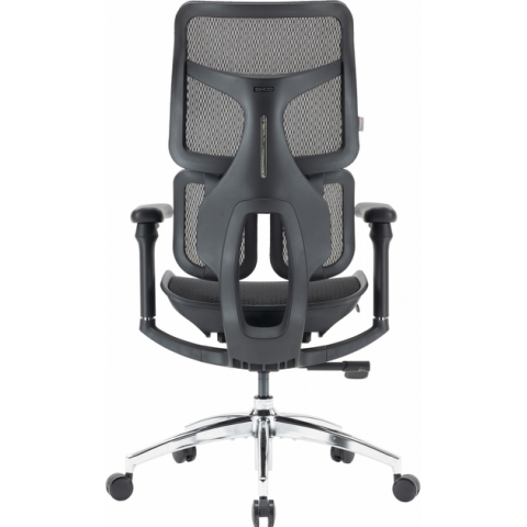 Крісло офісне Sihoo DORO S100 Mesh Black (S100-M301) Купити в Україні