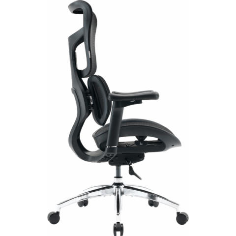 Крісло офісне Sihoo DORO S100 Mesh Black (S100-M301) Купити в Україні