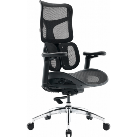 Крісло офісне Sihoo DORO S100 Mesh Black (S100-M301) Купити в Україні