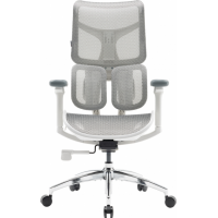 Крісло офісне Sihoo DORO S100 Mesh White (S100-M302)