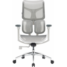 Крісло офісне Sihoo DORO S100 Mesh White (S100-M302)