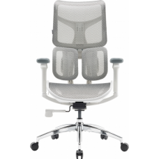Крісло офісне Sihoo DORO S100 Mesh White (S100-M302)