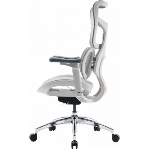 Крісло офісне Sihoo DORO S100 Mesh White (S100-M302) Купити в Україні