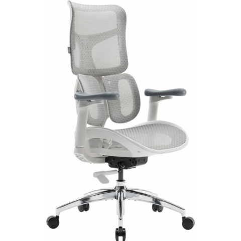 Крісло офісне Sihoo DORO S100 Mesh White (S100-M302) Купити в Україні
