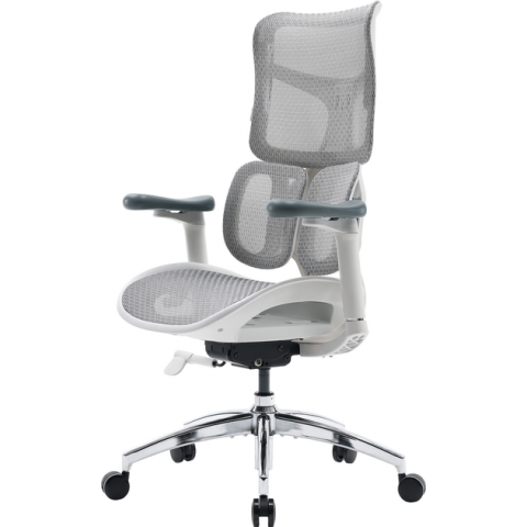Крісло офісне Sihoo DORO S100 Mesh White (S100-M302) Купити в Україні