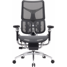 Крісло офісне Sihoo DORO S300 Mesh Dark Grey (S300-M201)