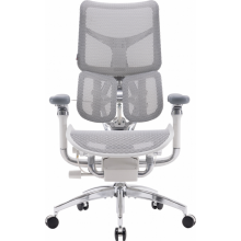 Крісло офісне Sihoo DORO S300 Mesh Light Grey (S300-M202)