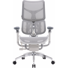 Крісло офісне Sihoo DORO S300 Mesh Light Grey (S300-M202)