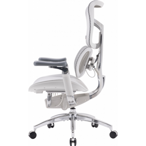 Крісло офісне Sihoo DORO S300 Mesh Light Grey (S300-M202) Купити в Україні