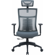Крісло офісне OfficePro Balance OC550-B-DG-DG