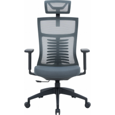 Крісло офісне OfficePro Balance OC550-B-DG-DG