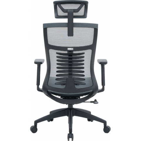 Крісло офісне OfficePro Balance OC550-B-DG-DG Купити в Україні