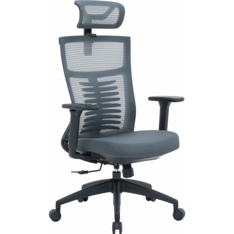 Крісло офісне OfficePro Balance OC550-B-DG-DG Купити в Україні