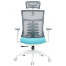 Крісло офісне OfficePro Balance OC550-W-DG-BL