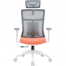 Крісло офісне OfficePro Balance OC550-W-DG-OR