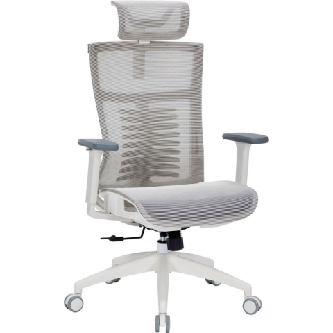 Крісло офісне Officepro Balance OC620-W-LG-LG Купити в Україні