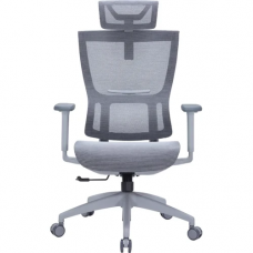 Крісло офісне Officepro Elegant OC660-G-DG-DG