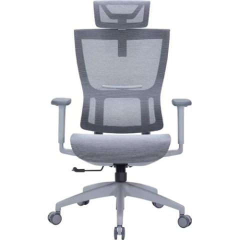Крісло офісне Officepro Elegant OC660-G-DG-DG Купити в Україні