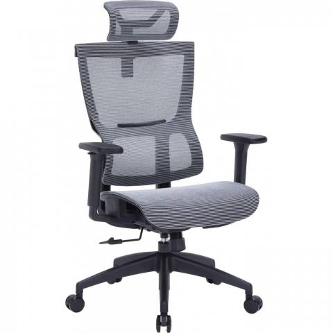 Крісло офісне Officepro Elegant OC660-B-DG-DG Купити в Україні