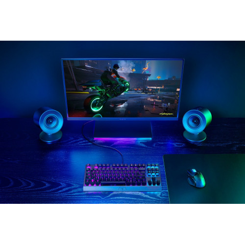 Акустична система RAZER Nommo V2 X (RZ05-04760100-R3G1) Купити в Україні