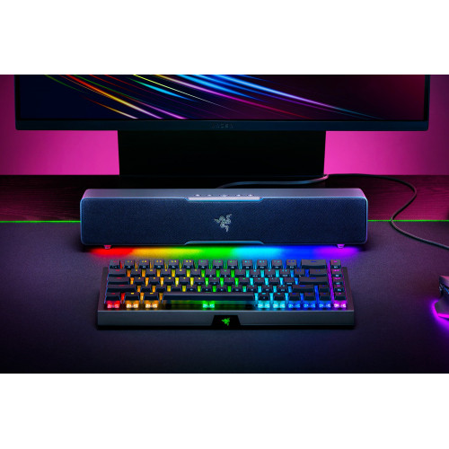 Акустична система RAZER Leviathan V2 X (RZ05-04280100-R3M1) Купити в Україні