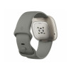 Смарт-годинник Fitbit Sense Silver Sage Grey (FB512SRSG) Купити в Україні