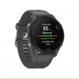 Смарт-годинник Garmin Forerunner 255 Slate Gray (010-02641-10)