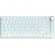 Дротова механічна клавіатура Ajazz AK820 Red Switch White (AK820-R-W)