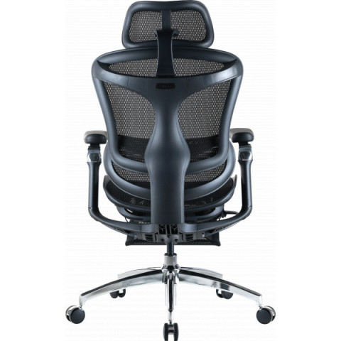 Крісло офісне з підставкою для ніг Sihoo DORO C300 Pro Mesh Black with footrest (DORO-C300-PRO-M101-JT) Купити в Україні