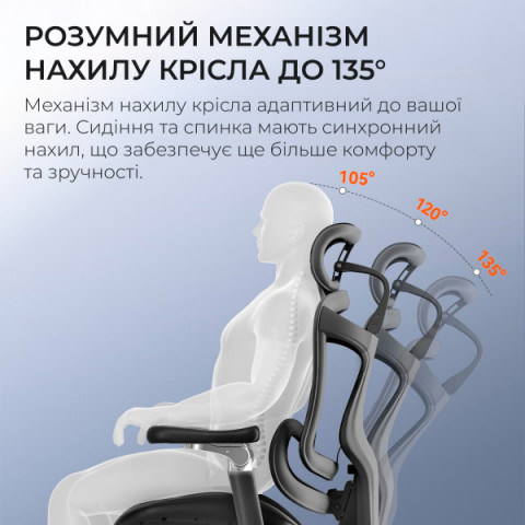 Крісло офісне з підставкою для ніг Sihoo DORO C300 Pro Mesh Black with footrest (DORO-C300-PRO-M101-JT) Купити в Україні