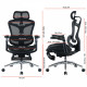 Крісло офісне з підставкою для ніг Sihoo DORO C300 Pro Mesh Black with footrest (DORO-C300-PRO-M101-JT) Купити в Україні