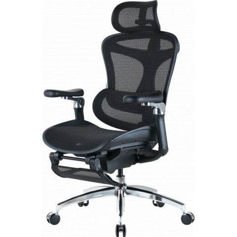 Крісло офісне з підставкою для ніг Sihoo DORO C300 Pro Mesh Black with footrest (DORO-C300-PRO-M101-JT) Купити в Україні