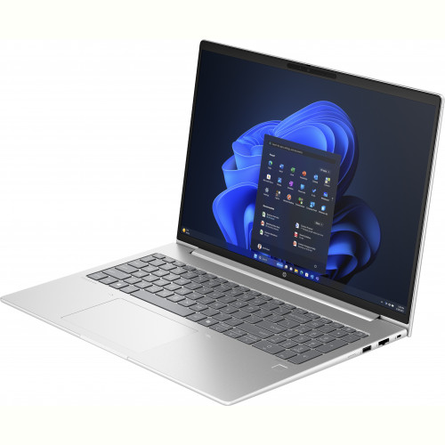 Ноутбук HP ProBook 465 G11 (901H6AV_V2) Silver